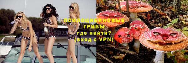 альфа пвп Краснослободск