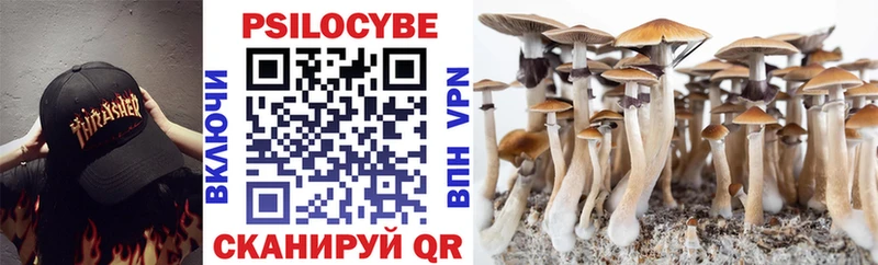 купить наркотик Краснодар Галлюциногенные грибы Psilocybe